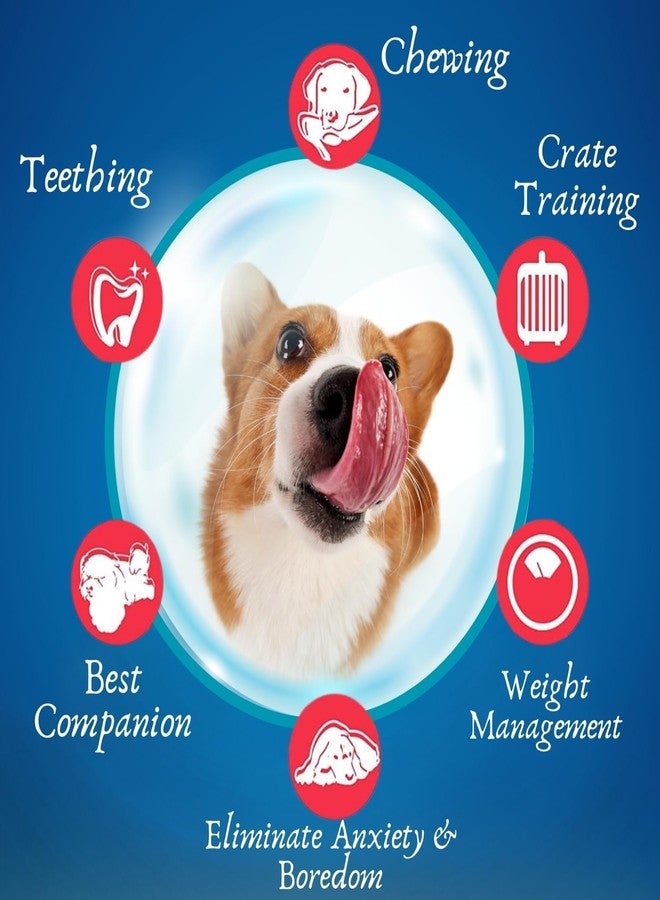 Western Era Ice Cream Bone Print Squeaky Toy -Interactive Plush Toy, Unleash Fun in Your Furry Friend, Buddy for Dogs & Cats, Perfect for Playtime, Chew Time, Long-Lasting for Your Beloved Pet - Image 3